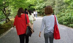 歩きましょう!